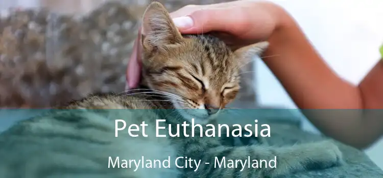 Pet Euthanasia Maryland City - Maryland