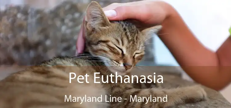 Pet Euthanasia Maryland Line - Maryland
