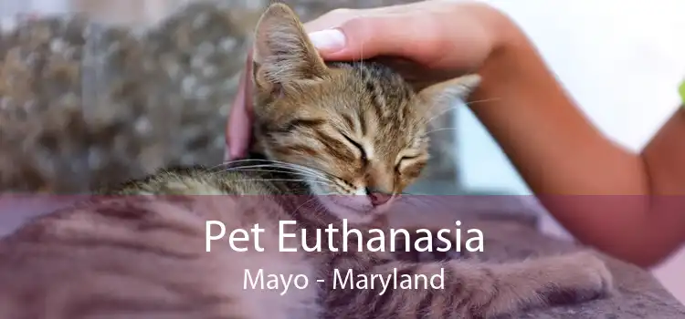 Pet Euthanasia Mayo - Maryland