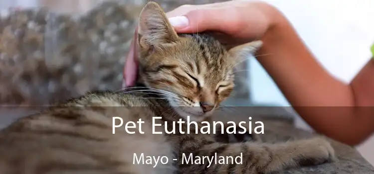 Pet Euthanasia Mayo - Maryland