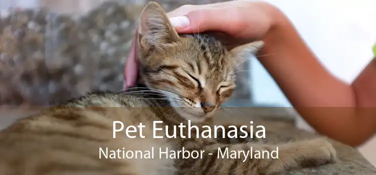 Pet Euthanasia National Harbor - Maryland