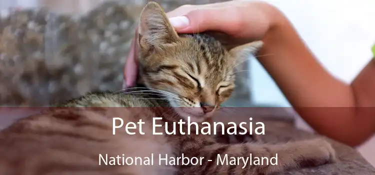 Pet Euthanasia National Harbor - Maryland