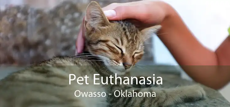 Pet Euthanasia Owasso - Oklahoma