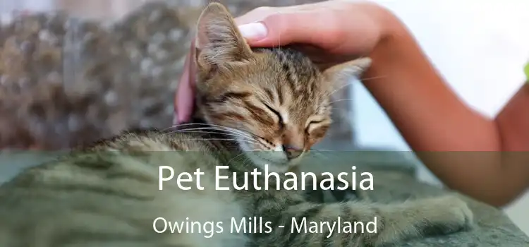 Pet Euthanasia Owings Mills - Maryland