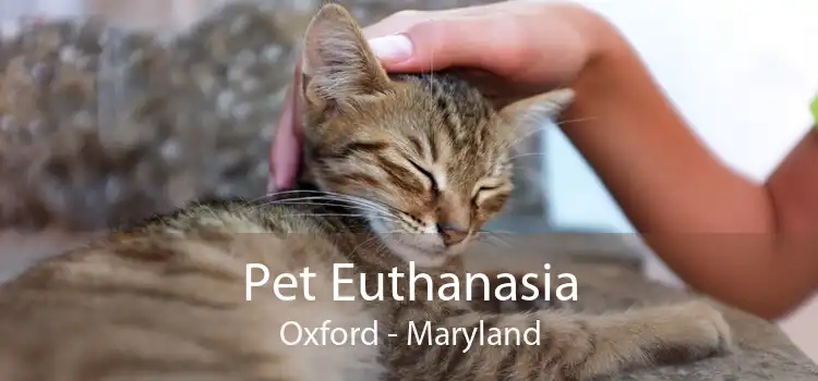 Pet Euthanasia Oxford - Maryland