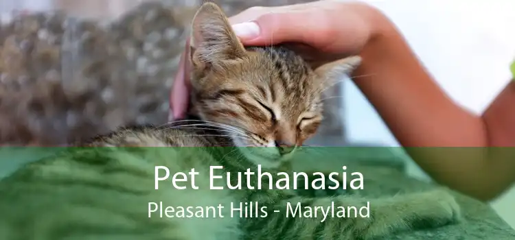 Pet Euthanasia Pleasant Hills - Maryland