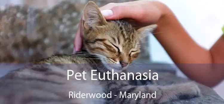 Pet Euthanasia Riderwood - Maryland