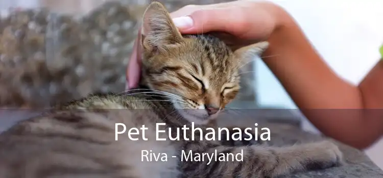 Pet Euthanasia Riva - Maryland
