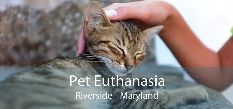 Pet Euthanasia Riverside - Maryland