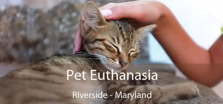 Pet Euthanasia Riverside - Maryland