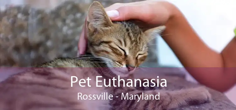 Pet Euthanasia Rossville - Maryland