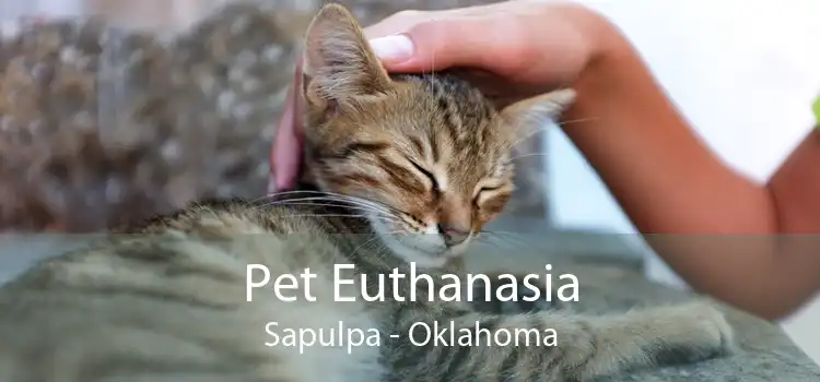 Pet Euthanasia Sapulpa - Oklahoma