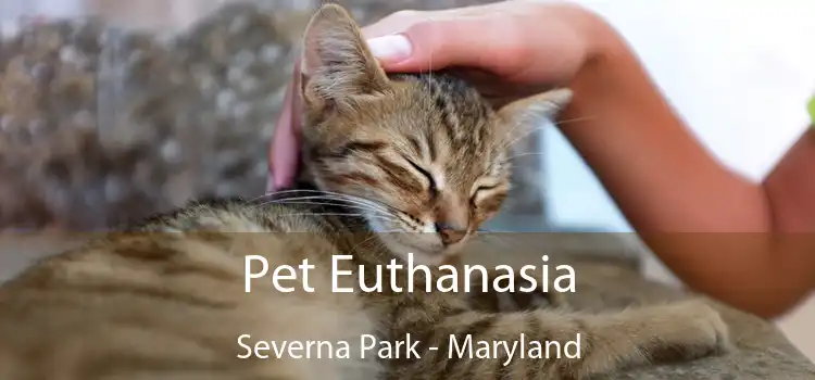 Pet Euthanasia Severna Park - Maryland