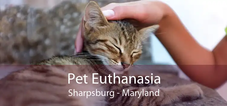 Pet Euthanasia Sharpsburg - Maryland