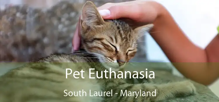 Pet Euthanasia South Laurel - Maryland