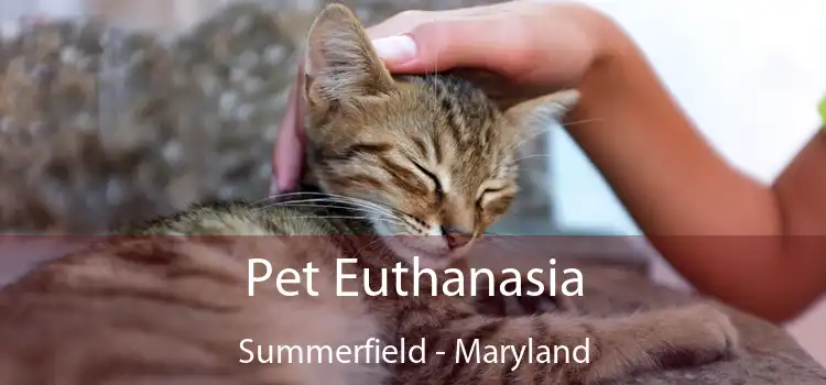 Pet Euthanasia Summerfield - Maryland