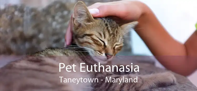 Pet Euthanasia Taneytown - Maryland