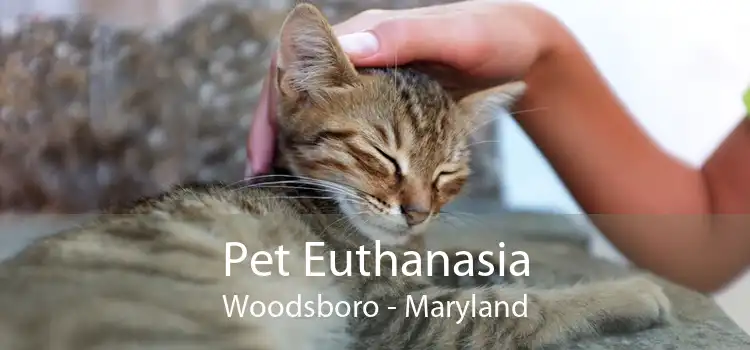 Pet Euthanasia Woodsboro - Maryland