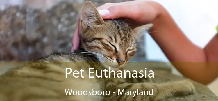 Pet Euthanasia Woodsboro - Maryland