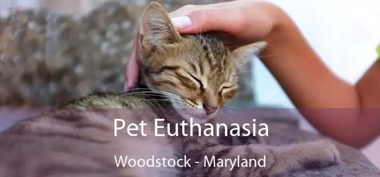 Pet Euthanasia Woodstock - Maryland