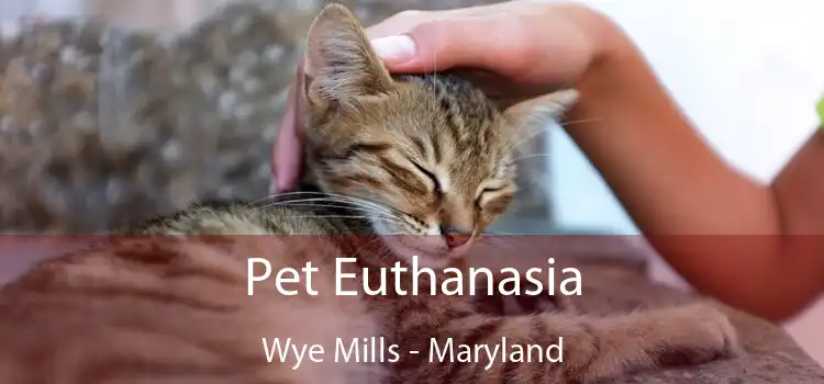 Pet Euthanasia Wye Mills - Maryland
