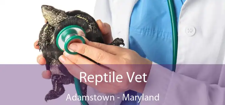 Reptile Vet Adamstown - Maryland