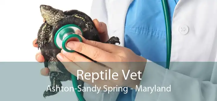 Reptile Vet Ashton-Sandy Spring - Maryland