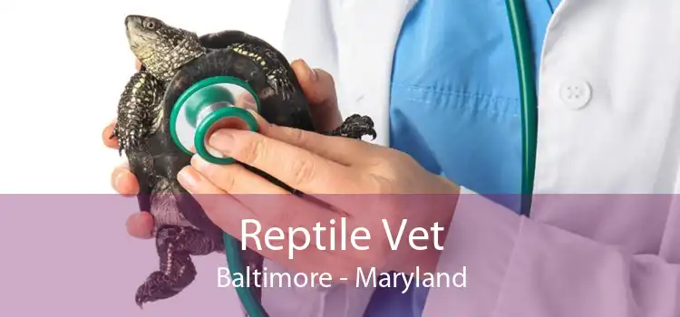 Reptile Vet Baltimore - Maryland