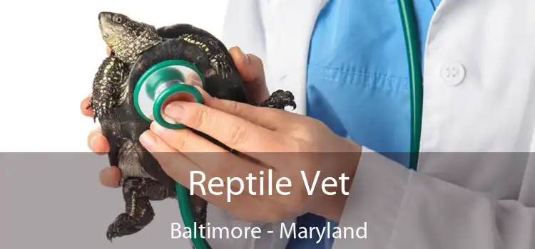 Reptile Vet Baltimore - Maryland