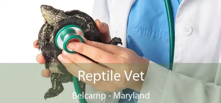 Reptile Vet Belcamp - Maryland