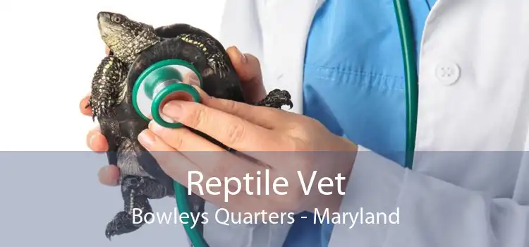 Reptile Vet Bowleys Quarters - Maryland