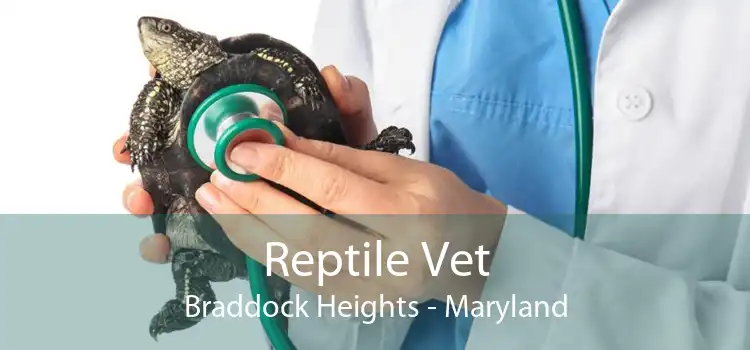 Reptile Vet Braddock Heights - Maryland
