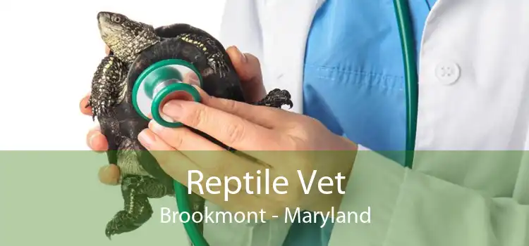 Reptile Vet Brookmont - Maryland