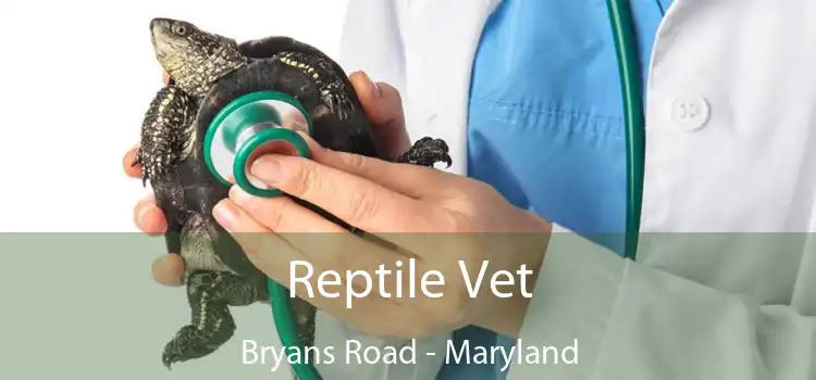 Reptile Vet Bryans Road - Maryland