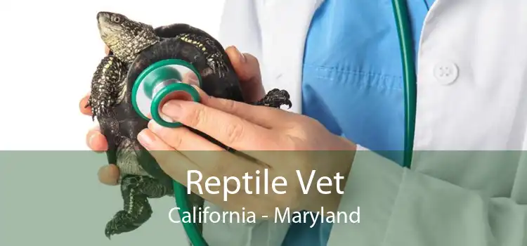 Reptile Vet California - Maryland