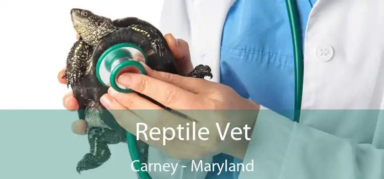 Reptile Vet Carney - Maryland