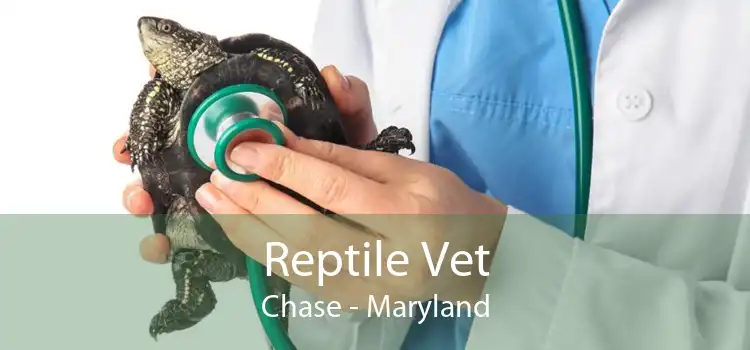 Reptile Vet Chase - Maryland