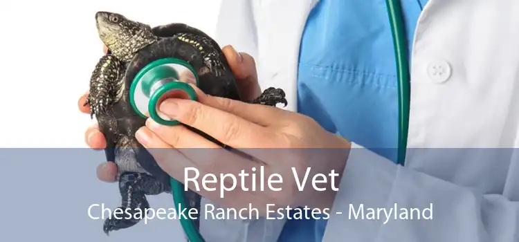 Reptile Vet Chesapeake Ranch Estates - Maryland