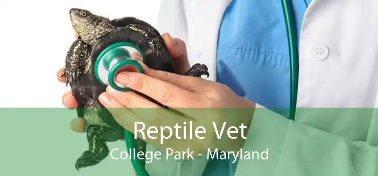 Reptile Vet College Park - Maryland