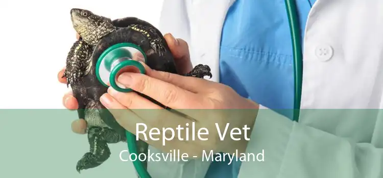 Reptile Vet Cooksville - Maryland