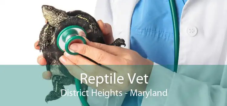Reptile Vet District Heights - Maryland