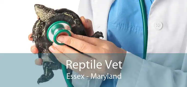 Reptile Vet Essex - Maryland