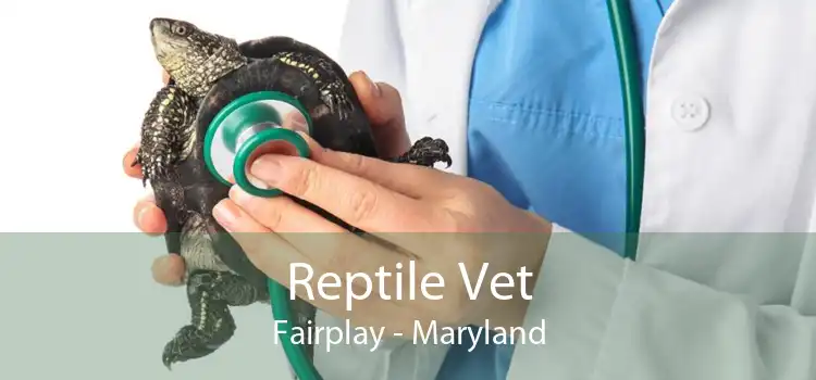 Reptile Vet Fairplay - Maryland