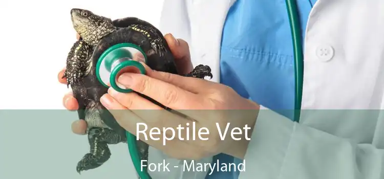 Reptile Vet Fork - Maryland