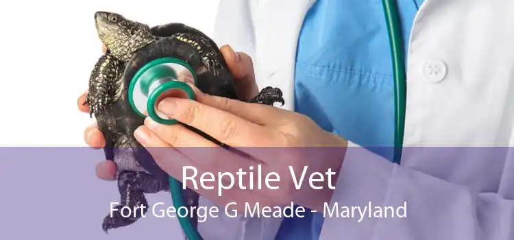 Reptile Vet Fort George G Meade - Maryland