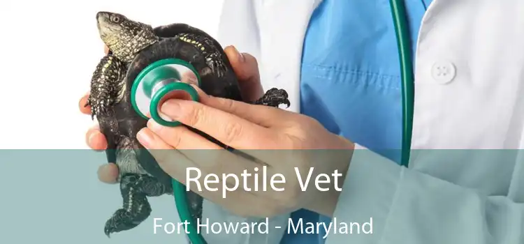 Reptile Vet Fort Howard - Maryland