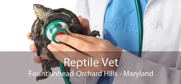 Reptile Vet Fountainhead-Orchard Hills - Maryland