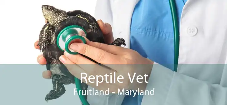 Reptile Vet Fruitland - Maryland
