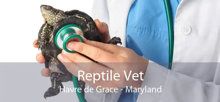 Reptile Vet Havre de Grace - Maryland