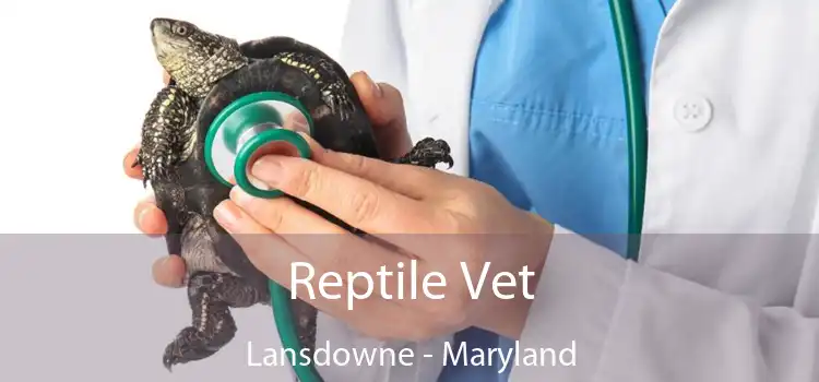 Reptile Vet Lansdowne - Maryland